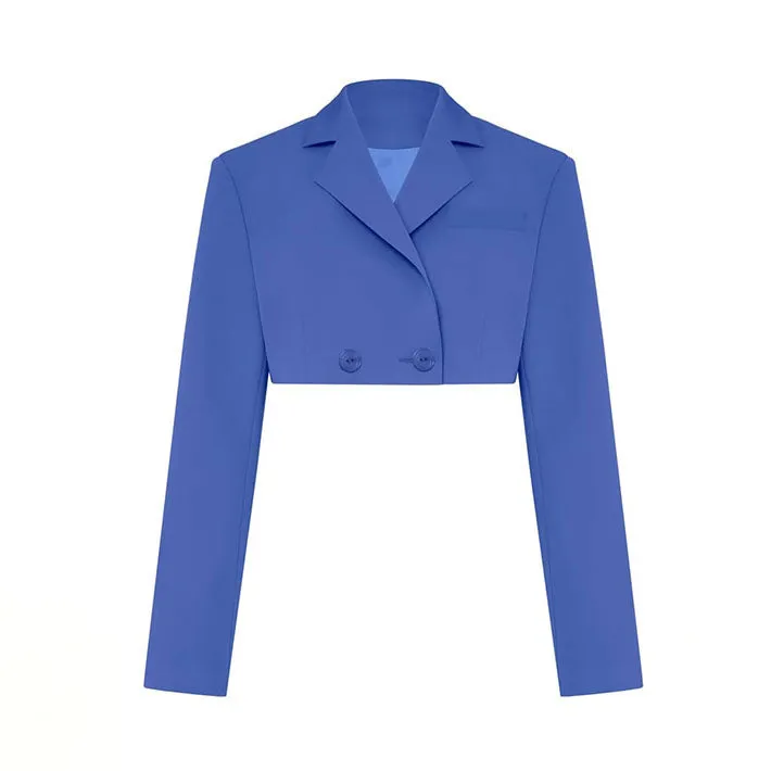 ALYSIYA PLEATED Skirt and Blazer SUIT SET