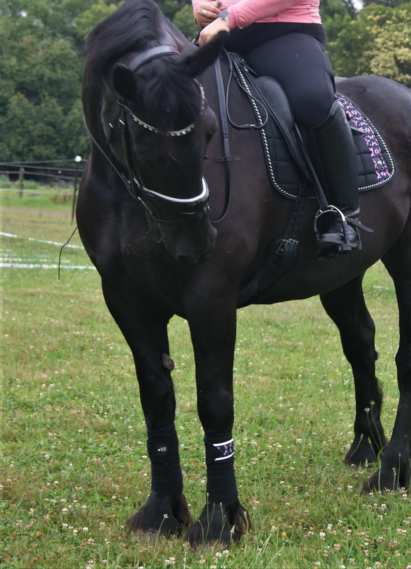Black Beauty Light Compression Tight
