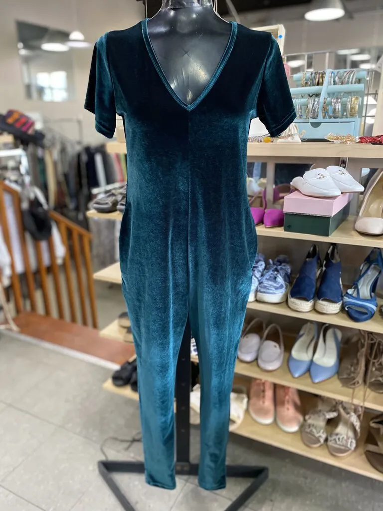 Smash   Tess velour jumpsuit NWT XXS
